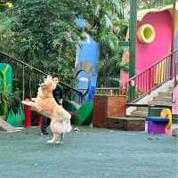新加坡動物園 singapore zoo - 很適合小朋友去的景點