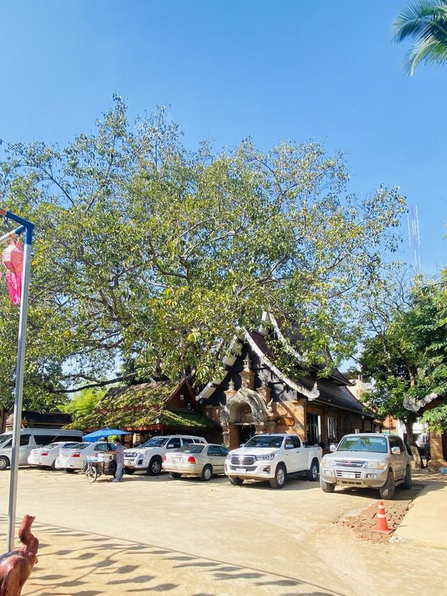 กราบไหว้ขอพระ | วัดโลกโมฬี | เชียงใหม่