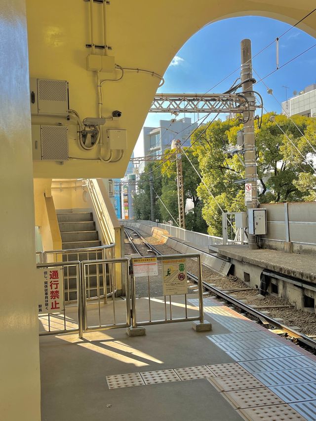 에노덴 타고 일본 감성 200% 즐기기🚃