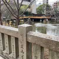 戀愛祈願🫶🏻神户人氣愛情💓生田神社
