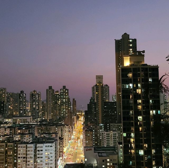 登嘉頓山睇市區夜景🌆