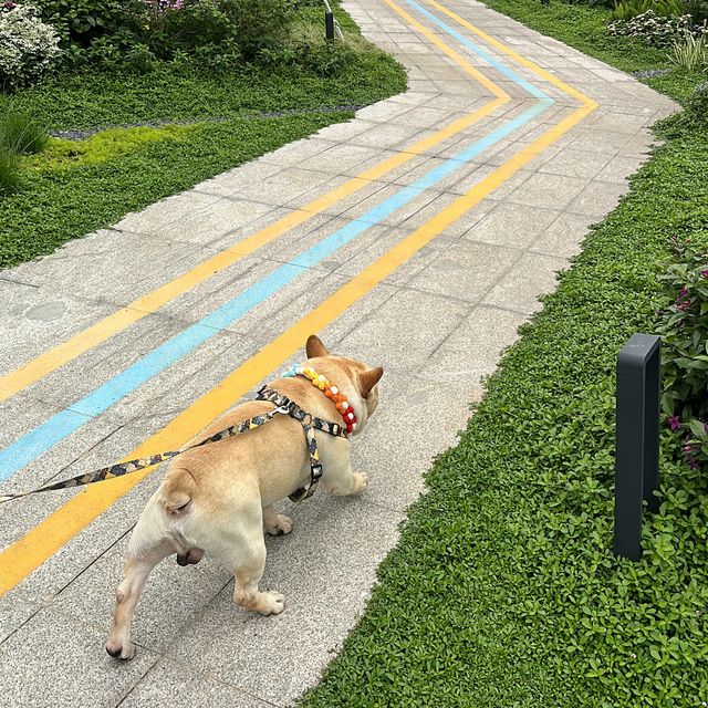 珠海小橫琴山｜多彩步道