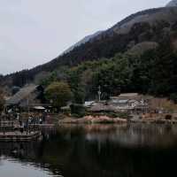 เดินเล่นทะสาบญี่ปุ่น 🏞 Kinrin Lake Yufuin