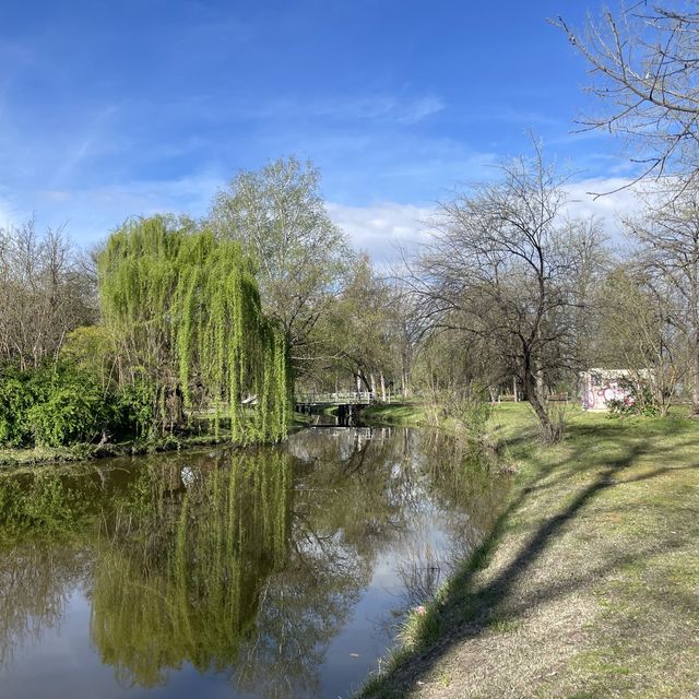 A walk in the beautiful park