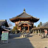 古都・奈良県「興福寺」国宝の五重塔は圧巻です