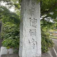 静岡市を一望する徳願寺