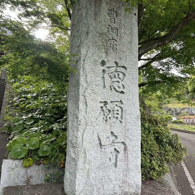 静岡市を一望する徳願寺