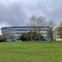英國薩里大學🦌 University of Surrey