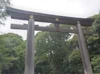明治神宮「原宿駅から徒歩数分」