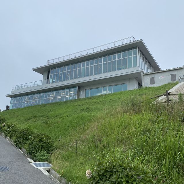 淡路島「あわじ花さじき」駐車場料金だけで入場できる花畑