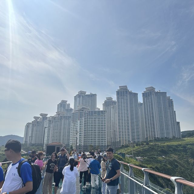 부산하면 해운대지~~!! 무더운 여름을 날려버릴 사람은 여기여기 모여라🤩🤩