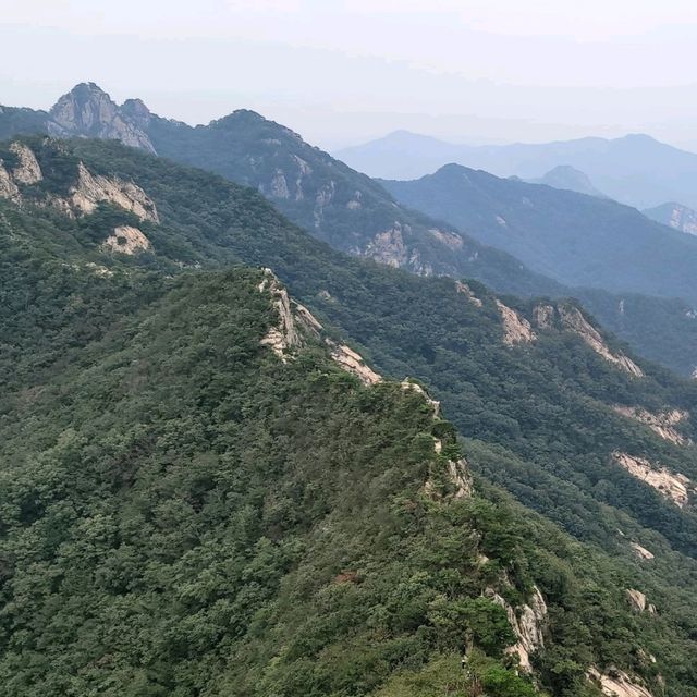 두근두근여름 휴가 대전 계룡산 관음봉 등산