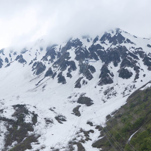 立山黑部 ｜ 黑部平大觀峰看雪山美景🏔️