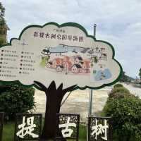 台山 | 在713年的菩提古樹下和老公許願
