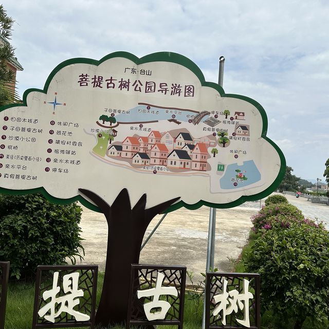 台山 | 在713年的菩提古樹下和老公許願