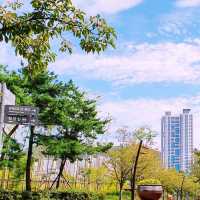 🌳 부산시민들을 위한 한적한 일상의 선물, 부산시민공원
