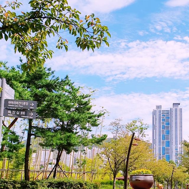🌳 부산시민들을 위한 한적한 일상의 선물, 부산시민공원