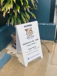 DOG CLUB คาเฟ่น้องหมาสุดไนซ์ที่พัทยา 🐶
