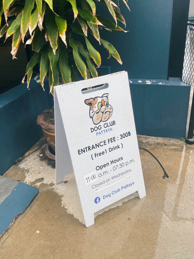 DOG CLUB คาเฟ่น้องหมาสุดไนซ์ที่พัทยา 🐶