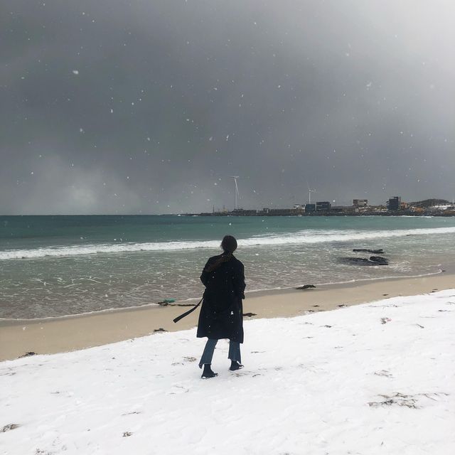흐려도 좋아🐰 제주 세화해변🐚🏖️