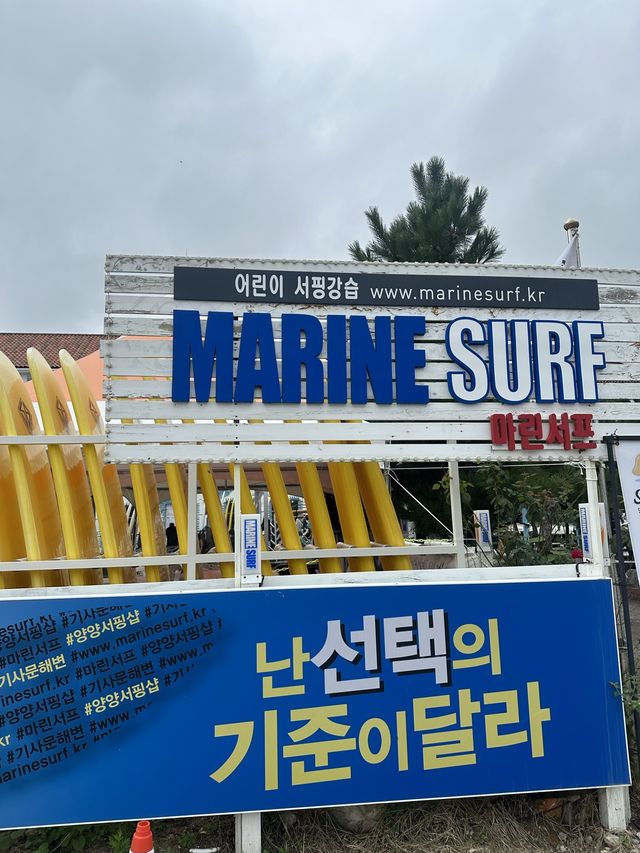 이색체험 즐기기 좋은 양양 서핑 마린서프👍