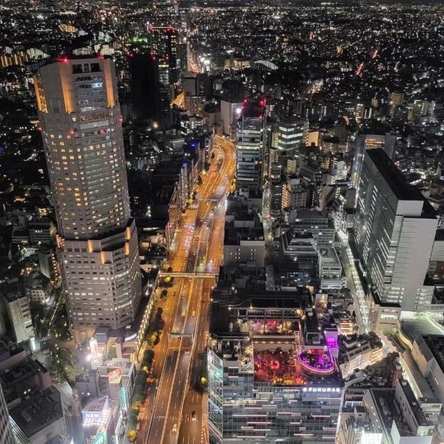 2-Panoramic viewpoint must visit in Tokyo.
