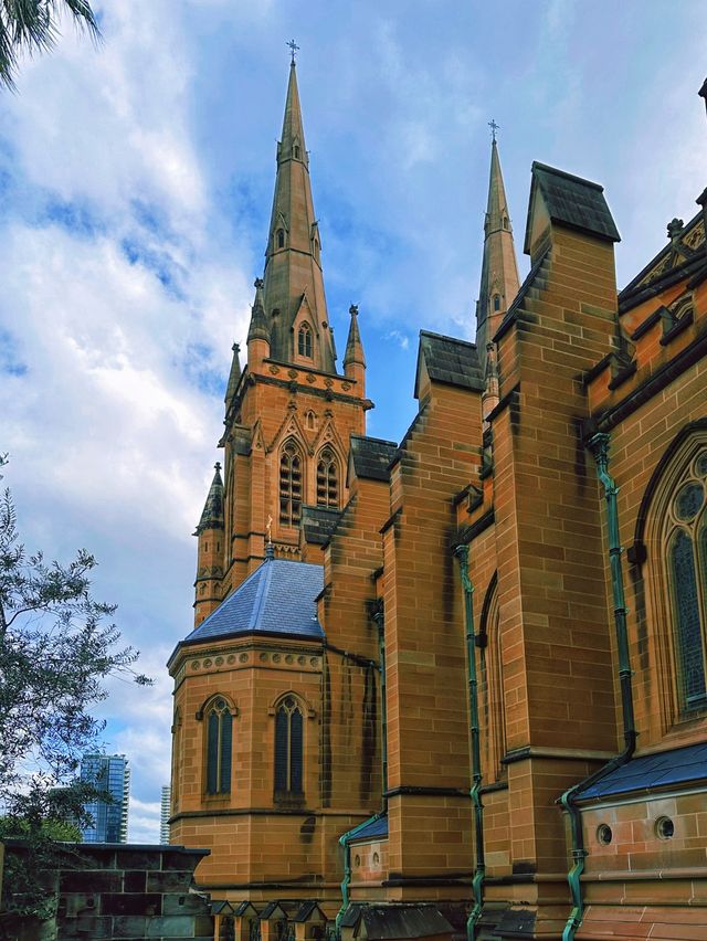 [雪梨] 澳洲最大的教堂 超莊嚴雄偉的哥特式建築-聖瑪麗大教堂