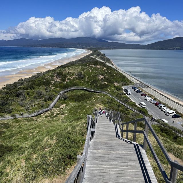 Bruny island days tours