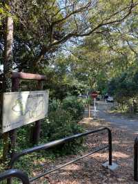 【神奈川県/源氏山公園】自然豊かな鎌倉の公園