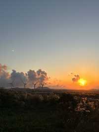 済州島で一日中楽しめる場所はここ！