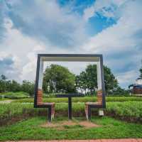 The Beauty of Iljasan Herb Astronomy Park