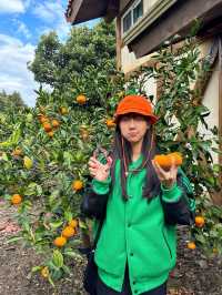 제주다운 펜션 🍊웨스티하우스