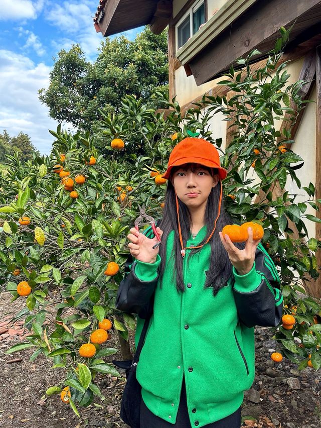 제주다운 펜션 🍊웨스티하우스
