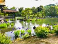 Kinkakuji Temple 