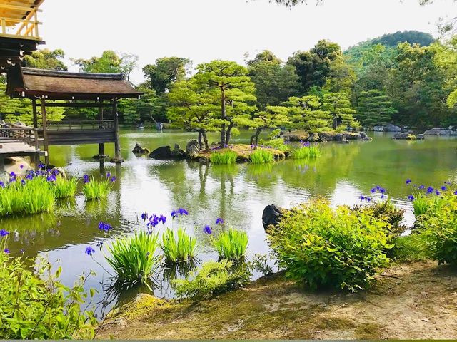 Kinkakuji Temple 