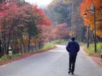 ชมมบไม้เปลี่ยนสีที่ทะเลสาบ Haruna 🍁