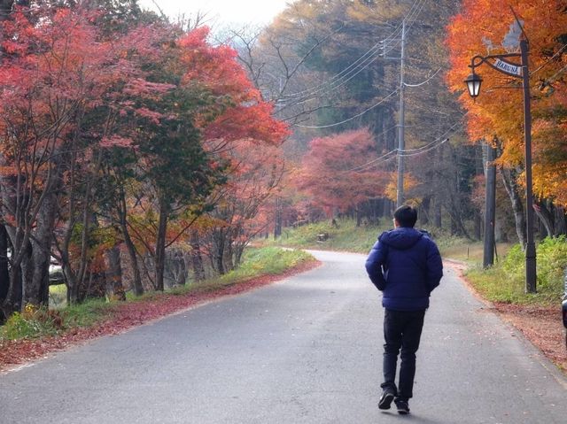ชมมบไม้เปลี่ยนสีที่ทะเลสาบ Haruna 🍁