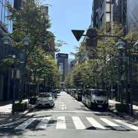 도쿄 긴자거리 🚦 일요일에는 차없는 거리🚦