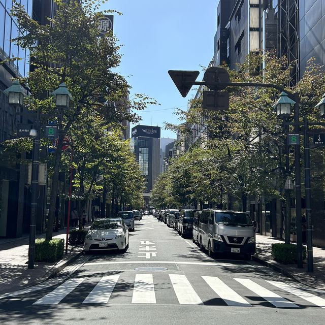 도쿄 긴자거리 🚦 일요일에는 차없는 거리🚦