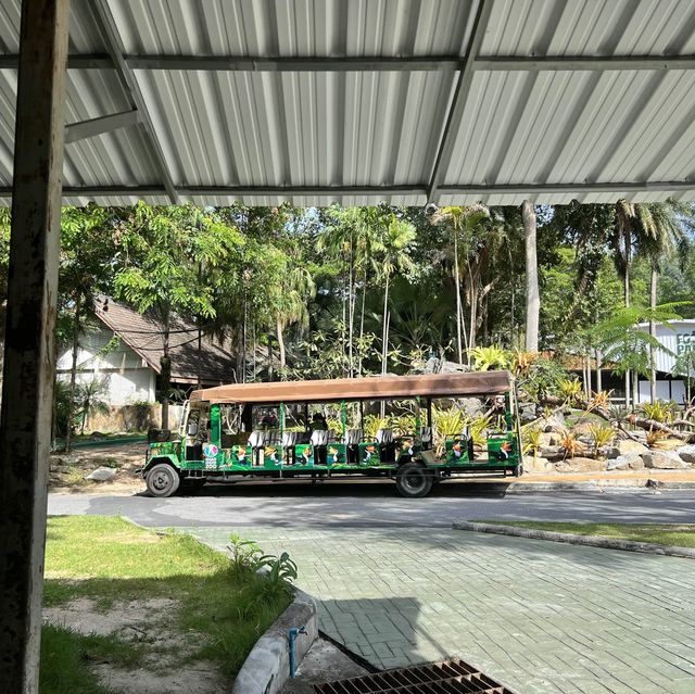 Khao Kheow open Zoo 