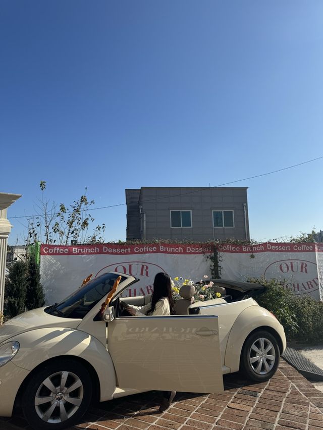 유럽풍 분위기 귀여운 차 포토존이 있는 카페