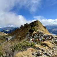 Rochers de Naye: Alpine Majesty