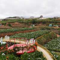   🪻Garden Hydrangeas Dalat ไม่มาถือว่าพลาดมาก