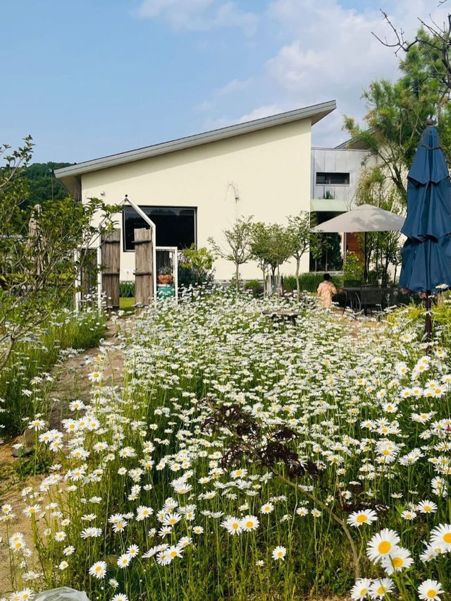 사계절 꽃이 피는 공간에서의 따스한 촌캉스, 오늘의 우리 집🏠 