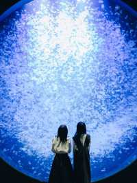 【完全保存版📍】山形女子旅おすすめ映えスポット6選👭🌸🌲