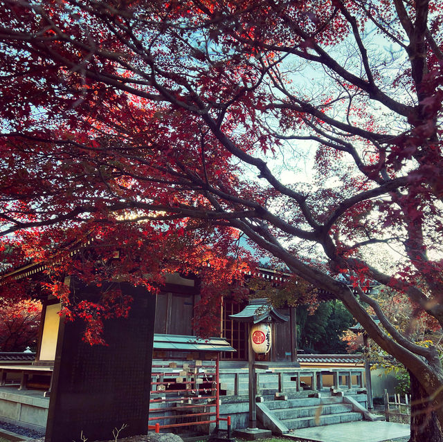 ฤดูกาลใบไม้เปลี่ยนสี🍁