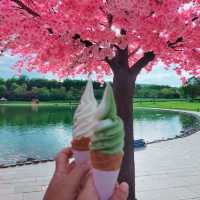 ฮิโนกิ~ไชยปราดาร