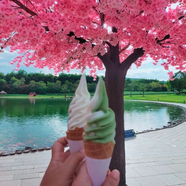 ฮิโนกิ~ไชยปราดาร