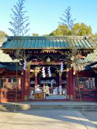 【東京都/根津神社】幅広い方々から人気の神社
