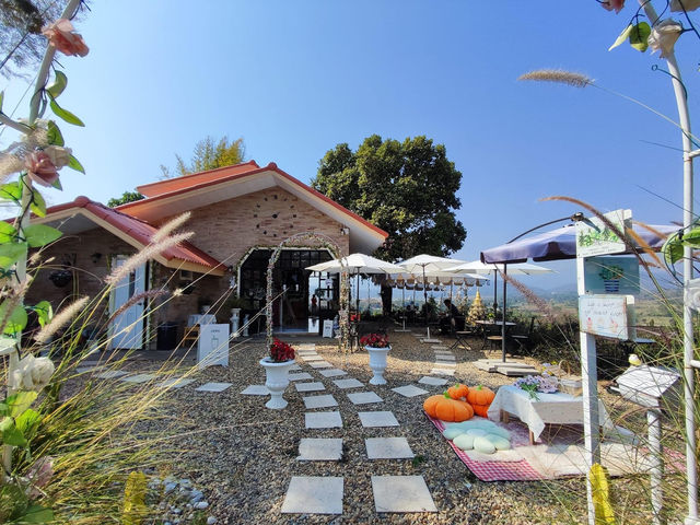 คาเฟ่บนเนินเขา บรรยากาศสุดชิล ⛰️